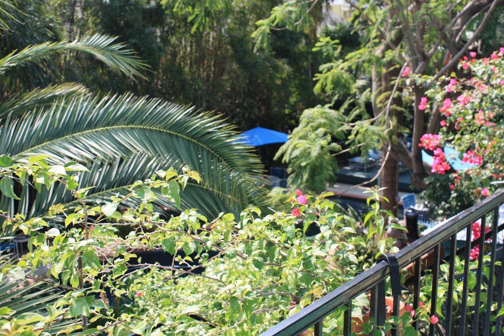 The Green House Inn New Orleans Exterior foto